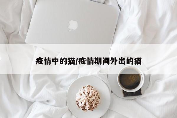 疫情中的猫/疫情期间外出的猫