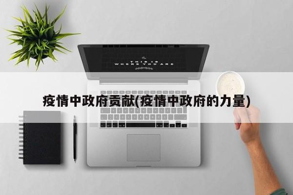 疫情中政府贡献(疫情中政府的力量)